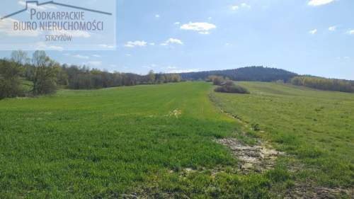 Działka budowlana na sprzedaż, 1700 m2, Lutcza