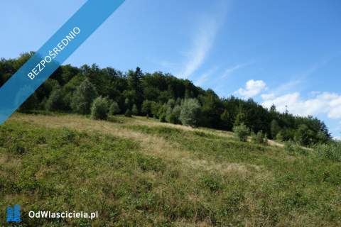 Brenna 2,53 ha działka inwestycyjna blisko wyciągu