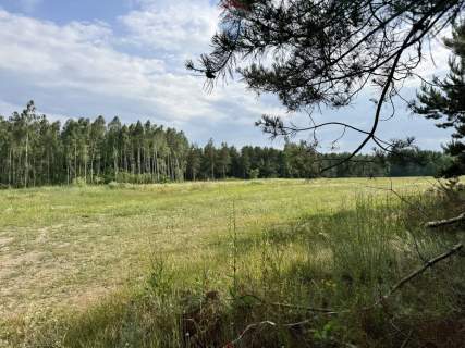 Atrakcyjna działka budowlana w otoczeniu lasu.