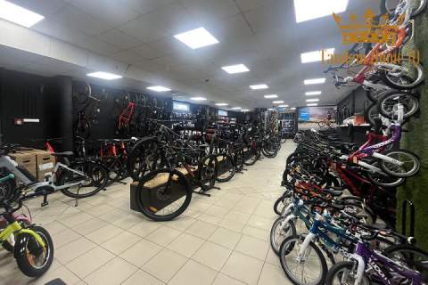 Lokal 270m2, powierzchnia wystawiennicza, handel