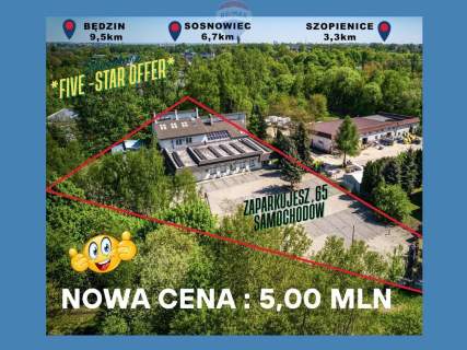 TO JEDNA Z TYCH, W KTÓRYCH MOŻNA SIĘ ZAKOCHAĆ 