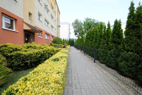 2 pokojowe z balkonem na Grunwaldzie