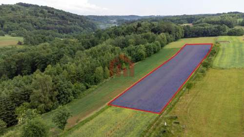 Działka budowlana z widokiem na iglasty las