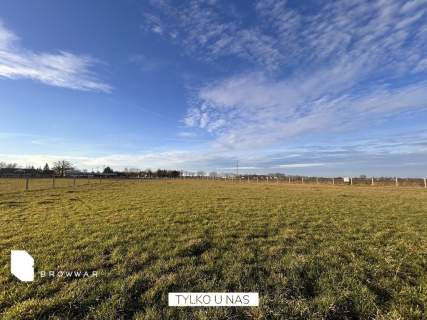 Działka siedliskowa 2,5ha, zabudowana z padokami