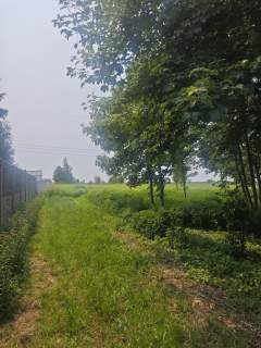 Duża działka z WZ w ładnej okolicy.