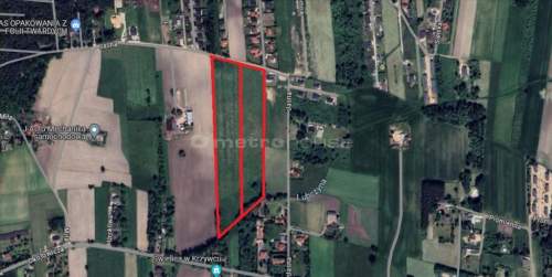 Krzywiec 52000 m2 gm. Aleksandrów Łódzki