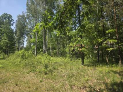 na końcu zamkniętej uliczki, za działką las, wz