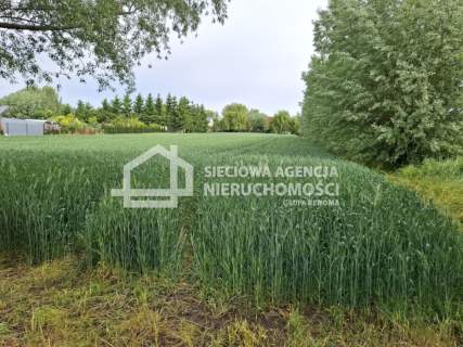 Działka 1107m2 z warunkami zabudowy Ostaszewo