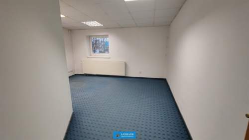 Salon wystawienniczy handel usługi parking