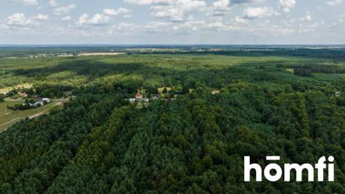 Działka leśna w okolicy puszczy Kozienickiej