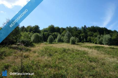 Brenna 2,53 ha działka inwestycyjna blisko wyciągu