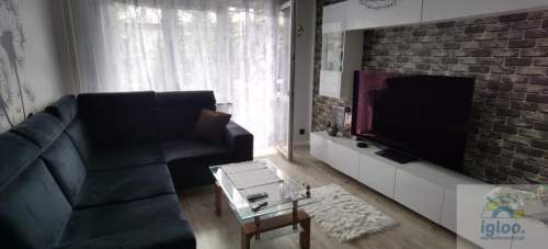 Ładne 2-pokoje, balkon, 1-piętro, blisko Centrum