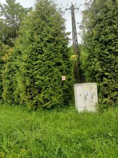 Działka o powierzchni 46a w Borownicy, gm.Bircza