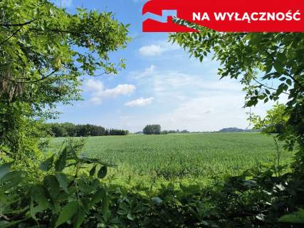 Dom- Miechowice Wielkie- Małopolska
