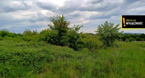Działka 3300m2 w Kielcach