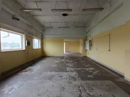 Hala około 120 m2, Pod Telegrafem