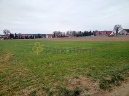 Działka budowlana koło Wschowy