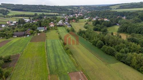 Działka budowlana z widokiem na iglasty las