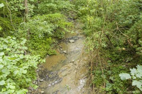 Siedlisko- Stężnica- Bieszczady