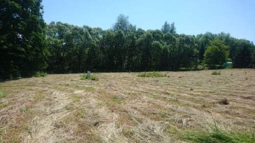 Cieszyn - Mnisztwo 4 działki, uzbrojone, obok lasu