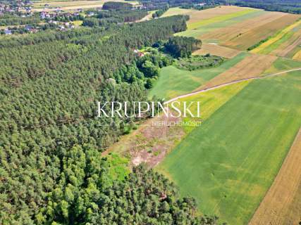 Dobrzejewice działki pod lasem 