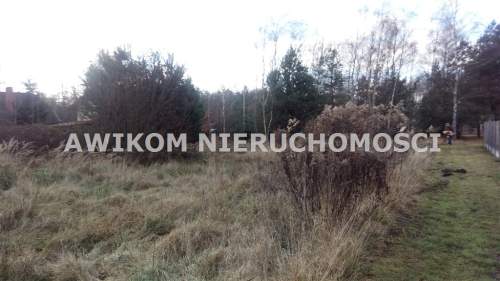 Działka siedliskowa na sprzedaż, 5600 m2, Antoniew