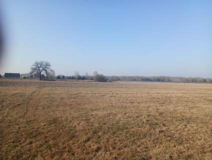 Działka budowlana z WZ,1km od granicy z Pilawą,
