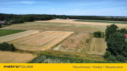 Działka na sprzedaż - Skęczniew