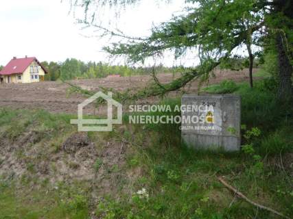 Działka rolna 5601 m2, Kobylasz / Linia