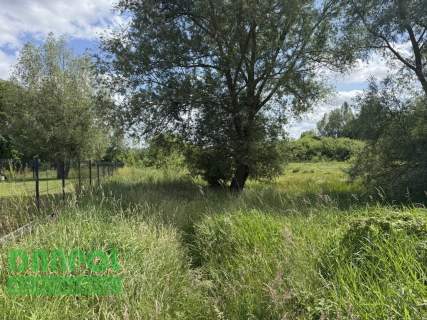 Dołuje, działka 3.100m2, 180.000,- zł