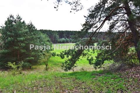 Działka ul. Wilcza w Płocku