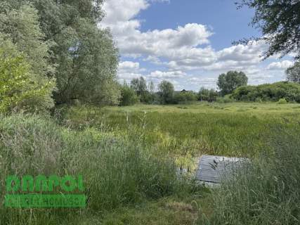 Dołuje, działka 3.100m2, 180.000,- zł