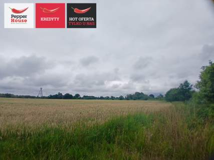 Atrakcyjna działka budowlana nad rzeką Szkarpawą