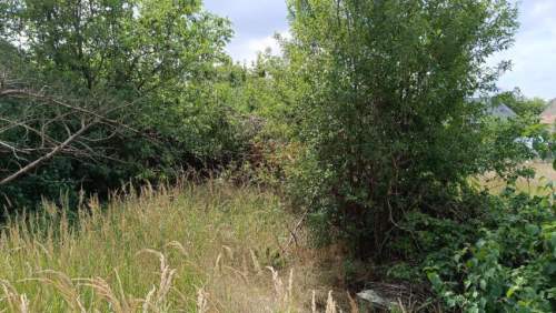 Kotowice, 1600 m2 z domem, woda, prąd, poma ciepła
