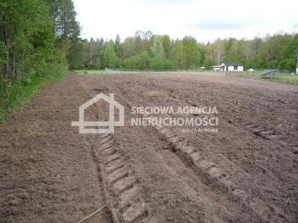 Działka rolna 5601 m2, Kobylasz / Linia