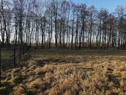 Działka budowlana na sprzedaż, 1709 m2, Rybno Wielkie