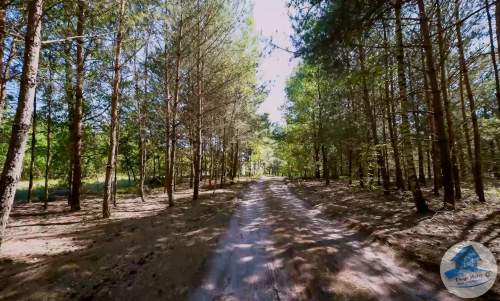 Miejsce na Twój wymarzony dom