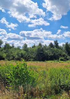 Działka budowlana Grabówka 1228m2