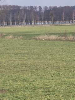 Działka na sprzedaż - Harsz 1