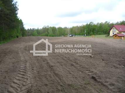 Działka rolna 5601 m2, Kobylasz / Linia