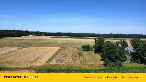 Działka na sprzedaż - Skęczniew