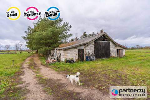 Agroturystyka- Działalność Rolnicza- Stadnina Koni
