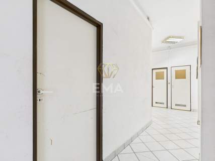 Lokal do wynajęcia