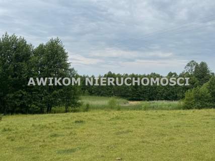 Działka rolna na sprzedaż, 54373 m2, Przerośl
