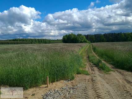 Działka rolna na sprzedaż, 1370 m2, Dalików