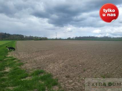 Działka rolna na sprzedaż, 20500 m2, Mokre