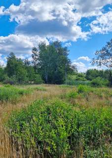 Działka budowlana Grabówka 1228m2