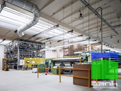 Teofilów - hala na parterze, moduł 3600 m2