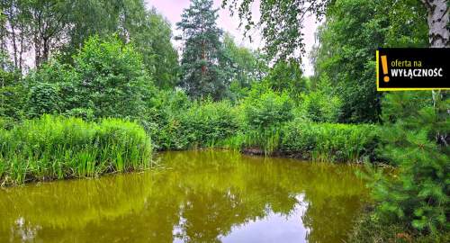 Działka ze stawem i lasem koło Solca Zdroju