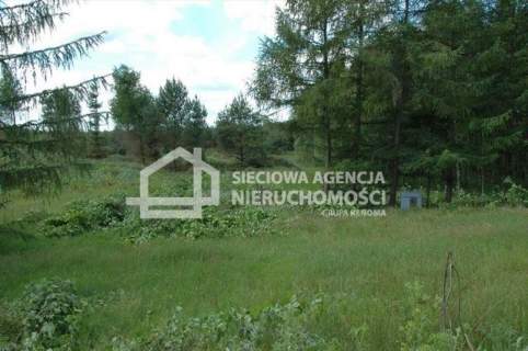 Urokliwa działka 2ha na Kaszubach - Bukowina 